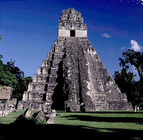 Mayan Pyramid at Tikal